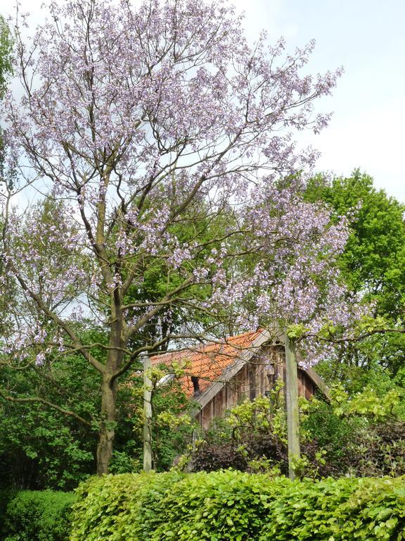 Gasthuys Hongerdyck Villa Bruchterveld Eksteriør bilde